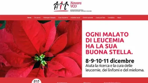 Realizzazione siti Web Novara 3 sito web ail-novara Andrea Patrucchi